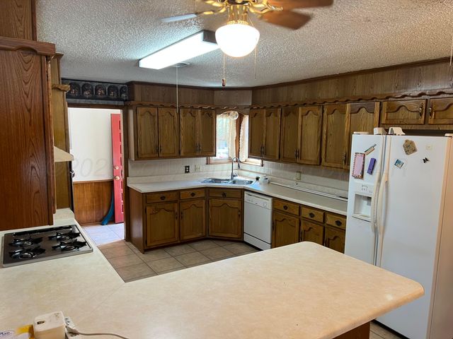 415 MESQUITE Avenue, Amarillo, TX 79108