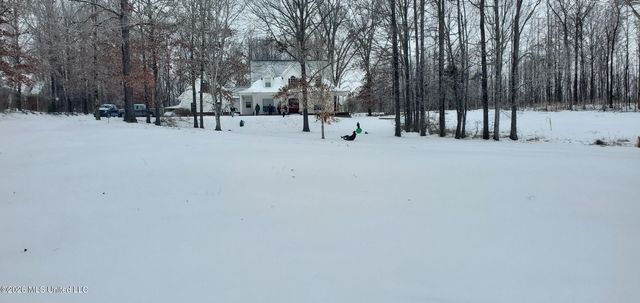 3876 Kyle Lane, Hernando, MS 38632