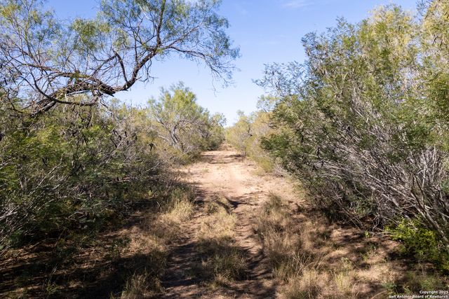 8 FM 1581, Pearsall, TX 78061