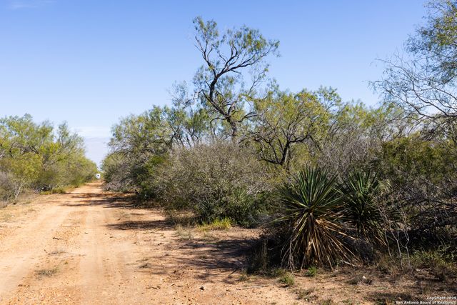 8 FM 1581, Pearsall, TX 78061