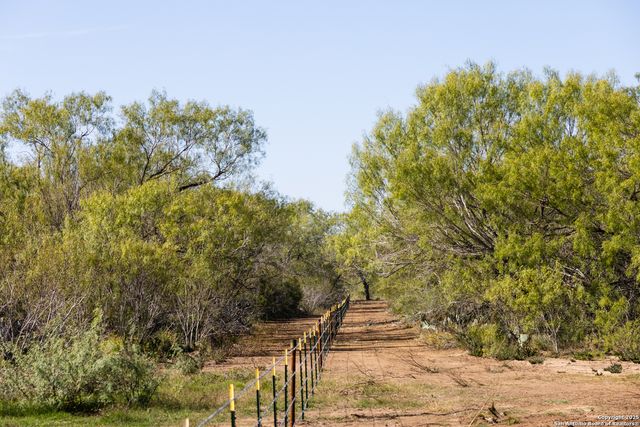 8 FM 1581, Pearsall, TX 78061