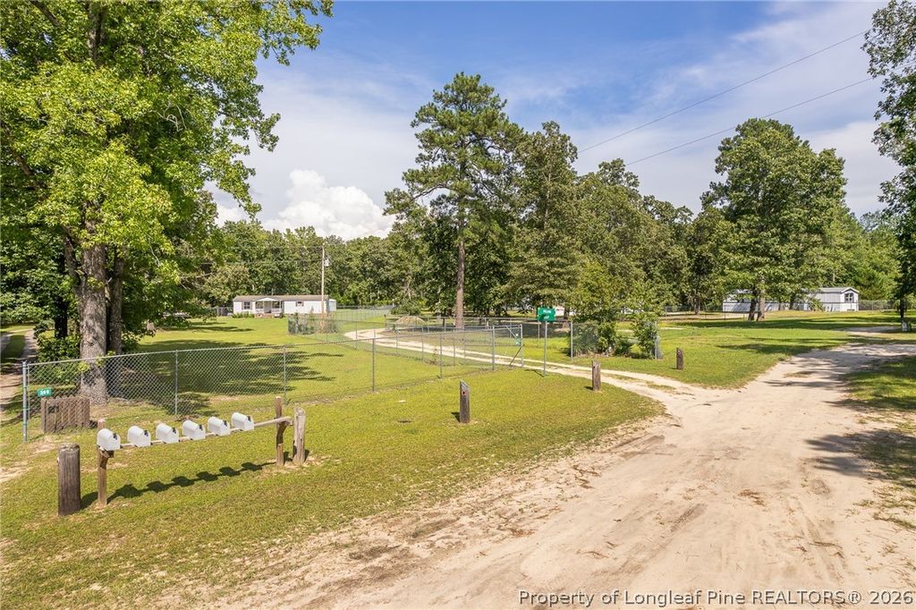 399 Ireland Drive, Lumber Bridge, NC 28357 — photo 2