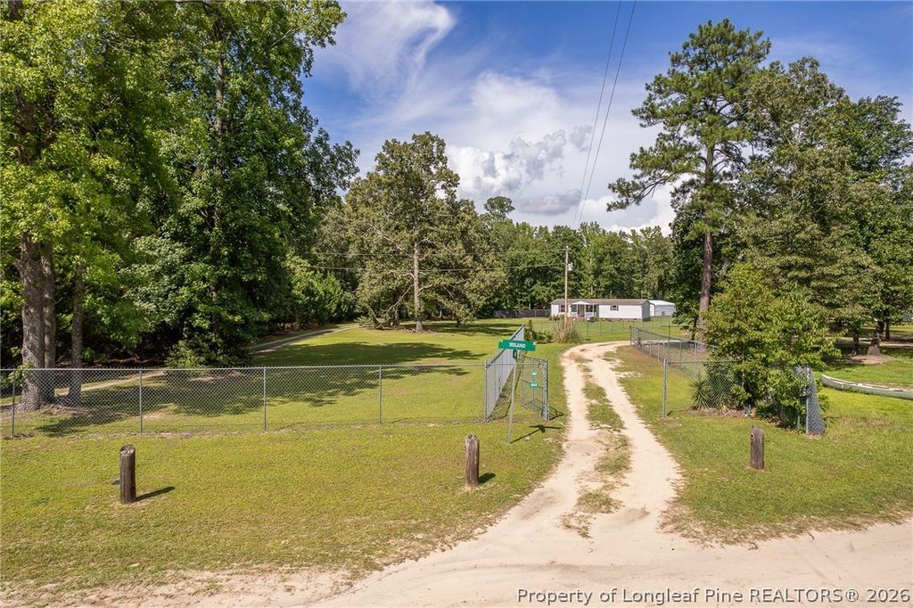 399 Ireland Drive, Lumber Bridge, NC 28357 — photo 3
