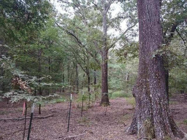 TBD County Road 4700, Sulphur Springs, TX 75482