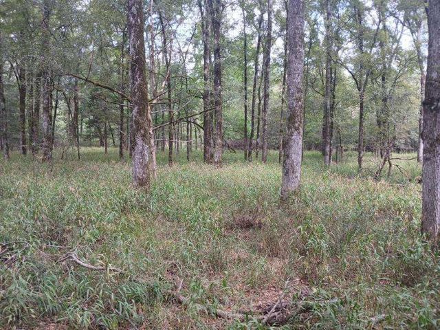 TBD County Road 4700, Sulphur Springs, TX 75482
