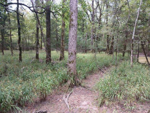TBD County Road 4700, Sulphur Springs, TX 75482