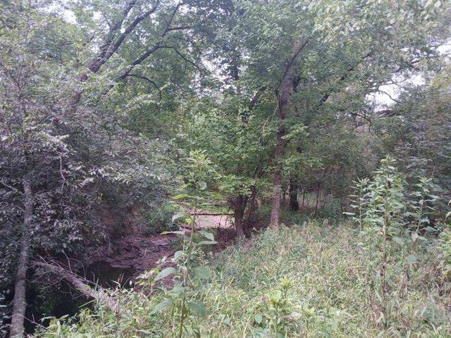 TBD County Road 4700, Sulphur Springs, TX 75482