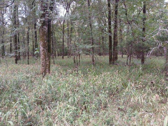 TBD County Road 4700, Sulphur Springs, TX 75482