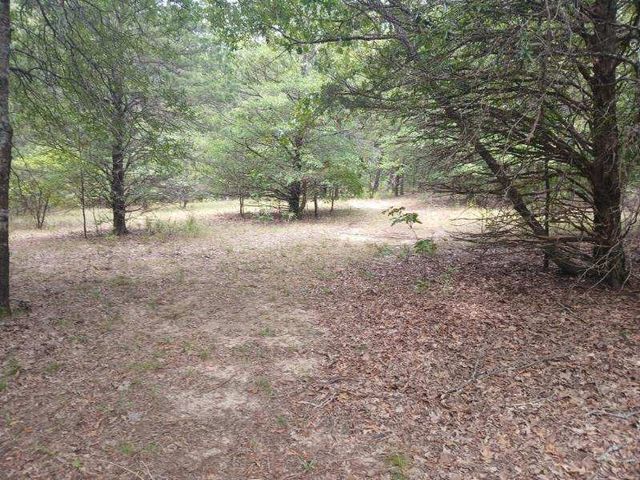 TBD County Road 4700, Sulphur Springs, TX 75482