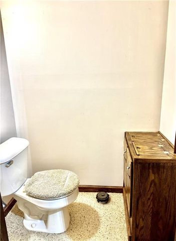 312 Woodside Drive, Cornell, WI 54732