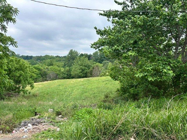 299 Tom Beasley Rd, Westmoreland, TN 37186