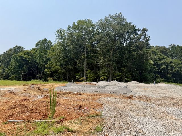 10 Miller Farm, Clarksville, TN 37043