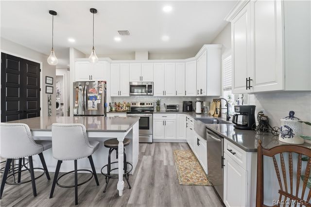 9689 E White Egret Path, Inverness, FL 34450