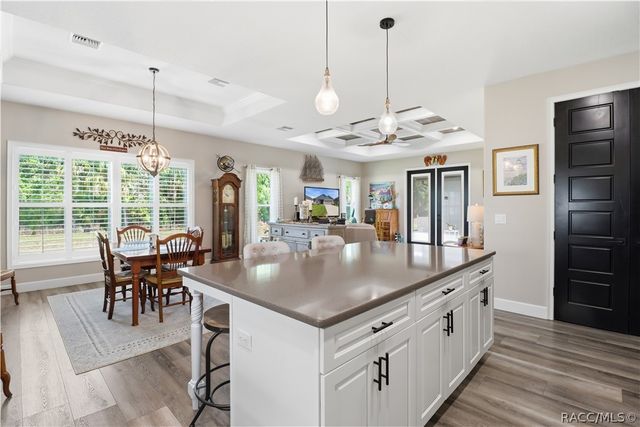 9689 E White Egret Path, Inverness, FL 34450