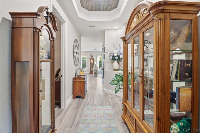 9689 E White Egret Path, Inverness, FL 34450