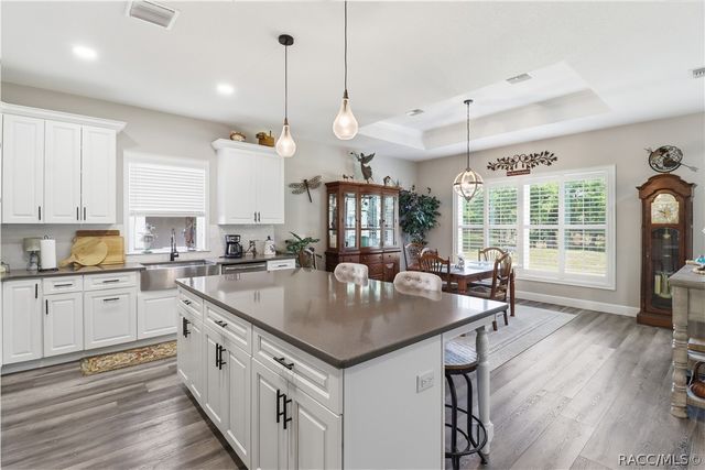 9689 E White Egret Path, Inverness, FL 34450