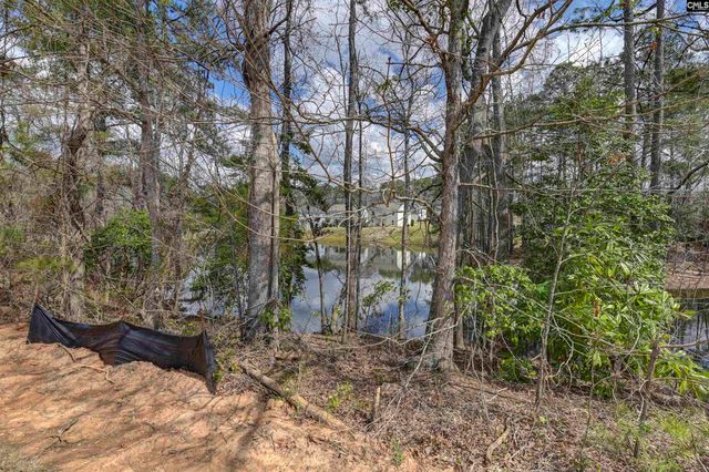 138 Clubside Drive, Lexington, SC 29072