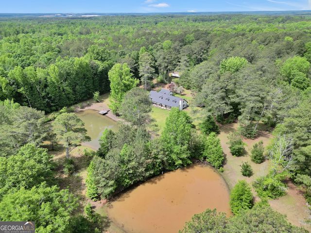331A County Line Road, Jenkinsburg, GA 30234
