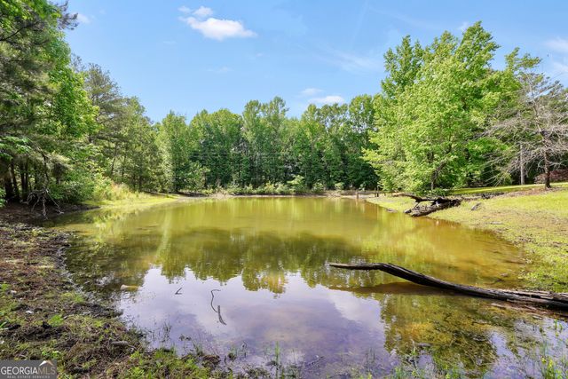 331A County Line Road, Jenkinsburg, GA 30234