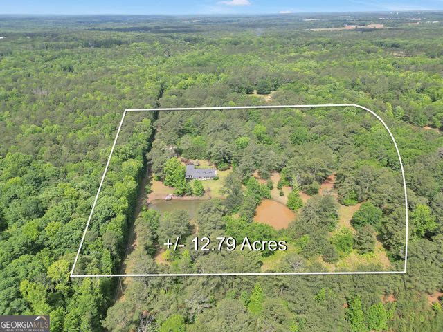 331A County Line Road, Jenkinsburg, GA 30234