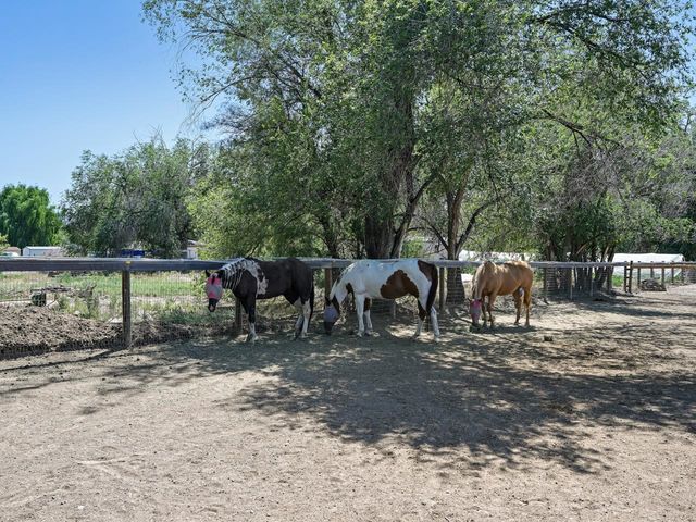 824 24 Road, Grand Junction, CO 81505