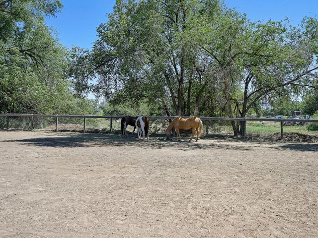 824 24 Road, Grand Junction, CO 81505