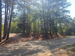 Simpson Highway 469, Florence, MS 39073