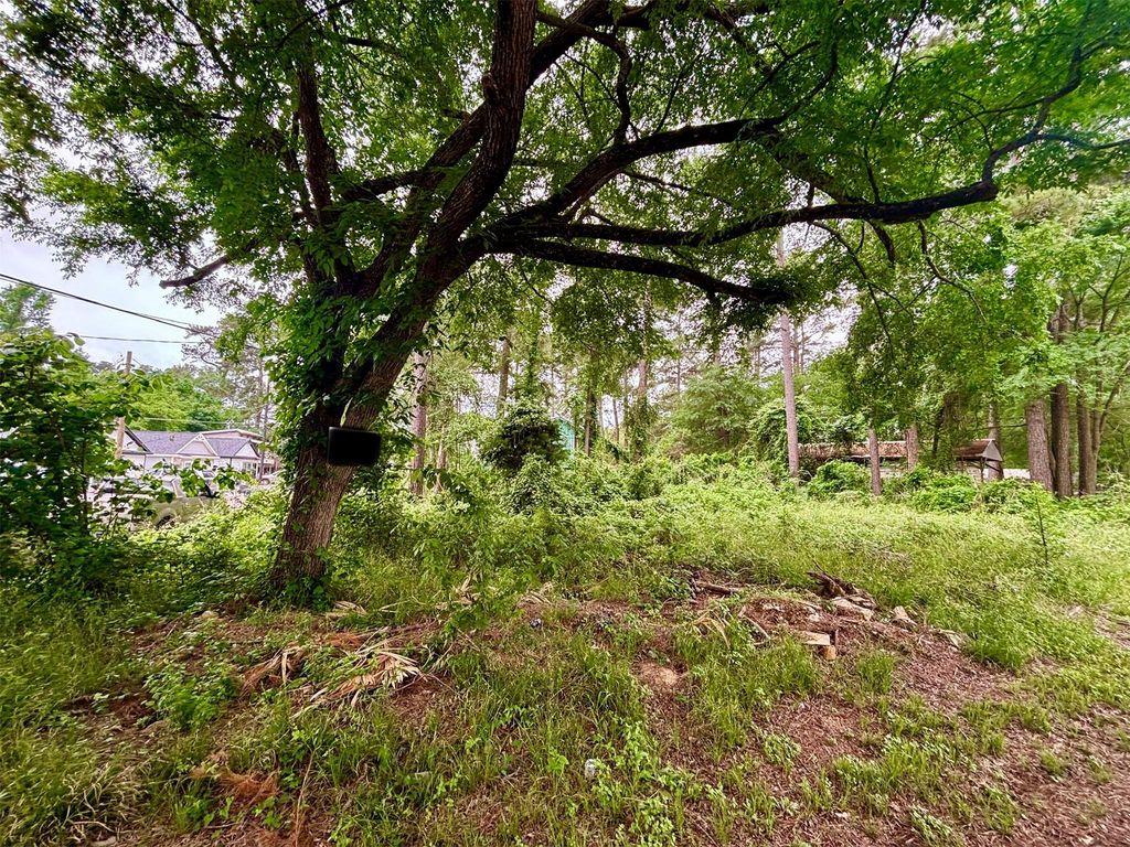 Lot 1 Walkwood Drive, Willis, TX 77318