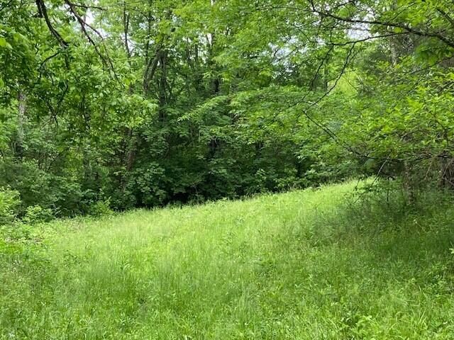 2864 Milford Road, Falmouth, KY 41040