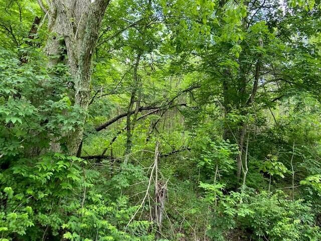 2864 Milford Road, Falmouth, KY 41040