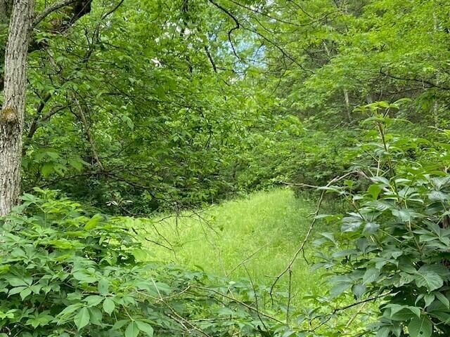 2864 Milford Road, Falmouth, KY 41040