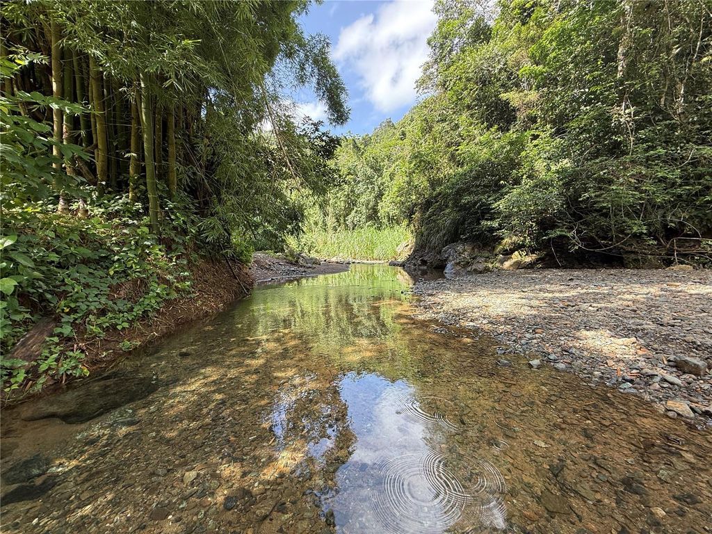 Image 48 of property listing at SR 301 KM 11.0 BOQUERON WARD COND PLAYAS DEL CARIBE RESORT BEACH 101 - C, Cabo Rojo, PR 00623