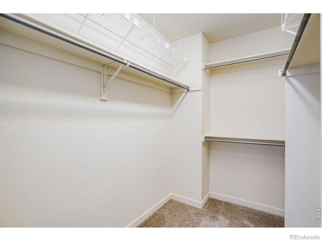 3830 Staghorn Drive, Longmont, CO 80503