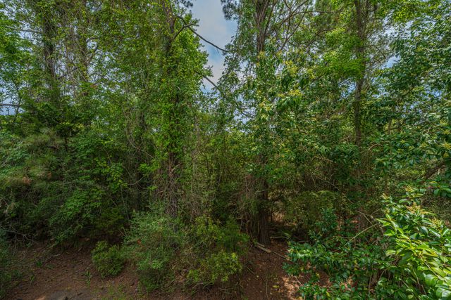 401 Kinloss Country Lane, Mount Pleasant, SC 29466