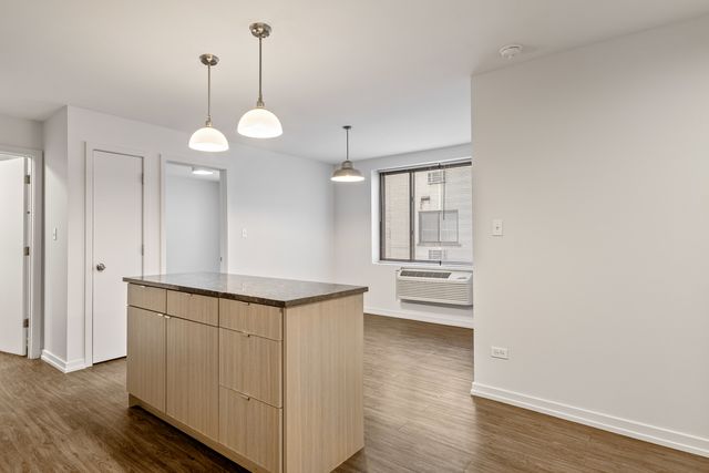 5411 N Winthrop Avenue 323, Chicago, IL 60640