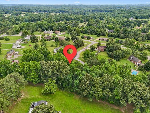 113 Creasy Ct, Joelton, TN 37080