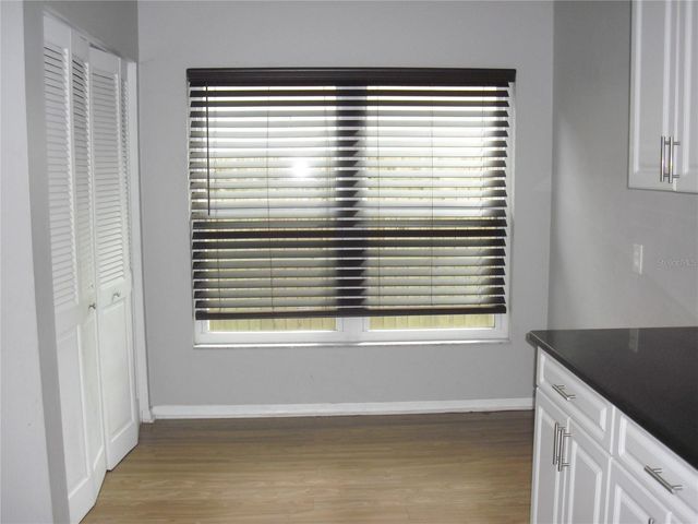 1113 BLOOM HILL AVENUE, Valrico, FL 33596