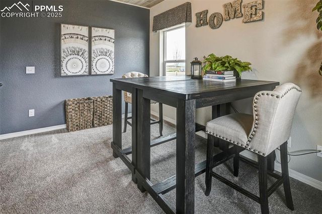 6017 Miller Run Place, Colorado Springs, CO 80924