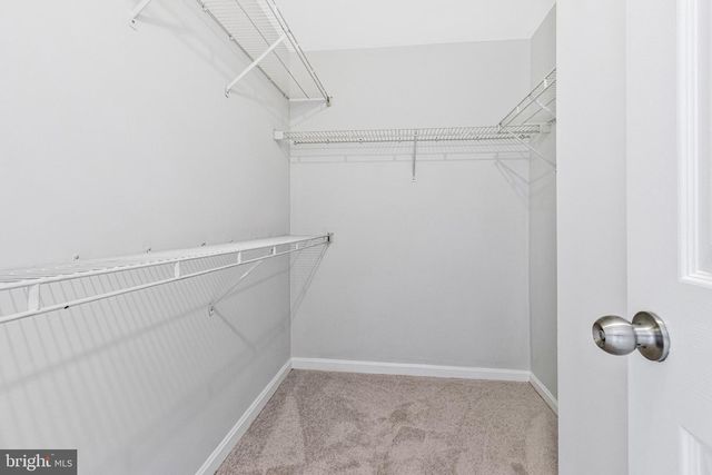 208 ELLSWORTH ST, Alexandria, VA 22314