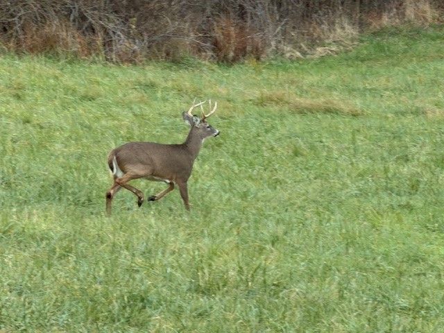 414 State Route 231, Donegal, PA 15323