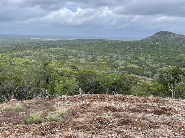852 Crystal Peak, Fischer, TX 78623