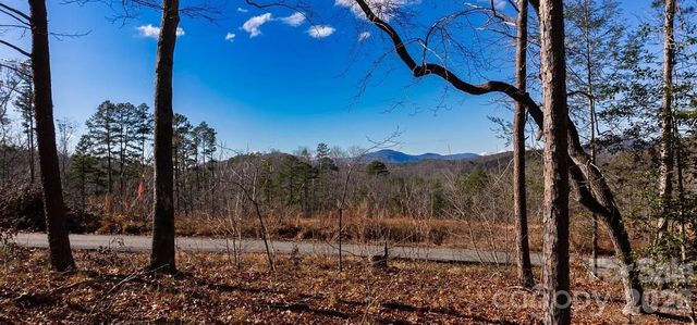 49 Shady Bark Lane, Rutherfordton, NC 28139