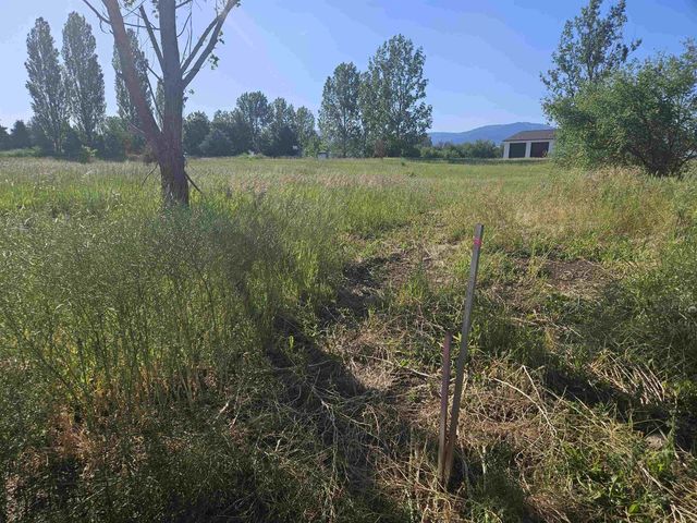 24225 E Rosewood Ave, Newman Lake, WA 99025