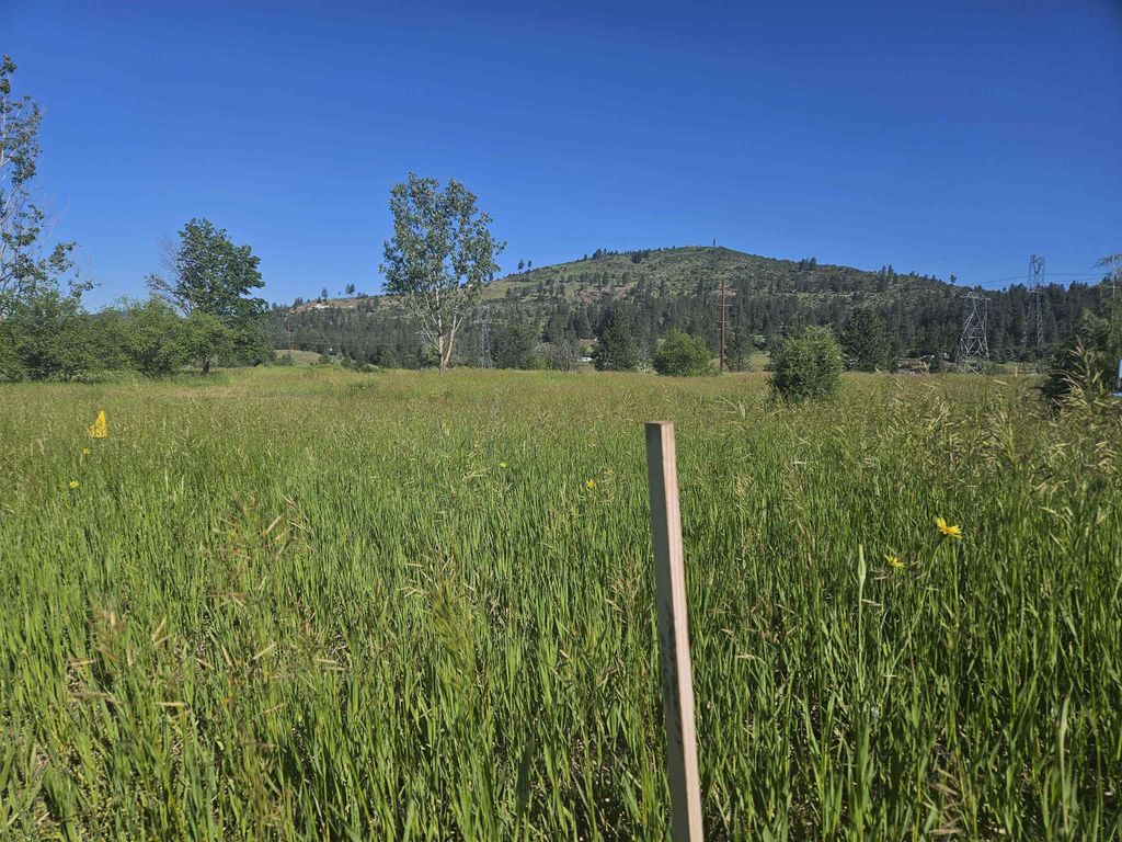 24225 E Rosewood Ave, Newman Lake, WA 99025