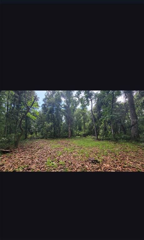 25TH AVENUE SW, Chiefland, FL 32626