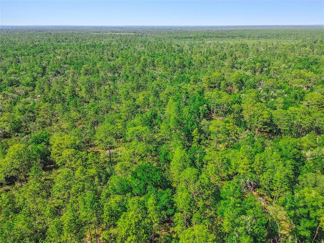 TBD SW 150TH ST, Dunnellon, FL 34432