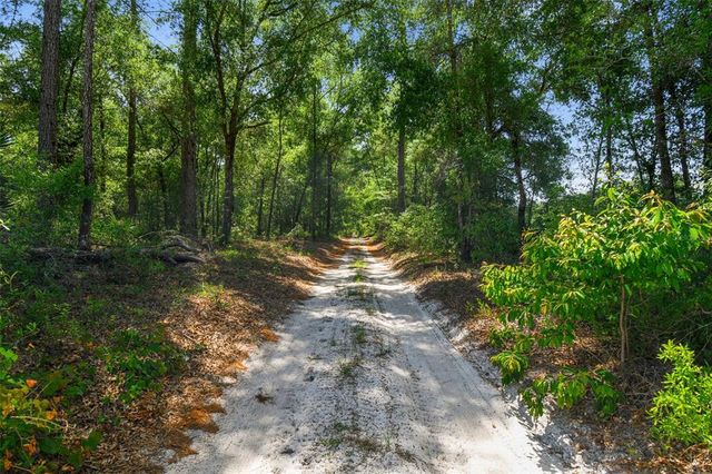 TBD SW 150TH ST, Dunnellon, FL 34432
