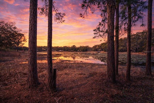 36035 E SPRING LAKE BOULEVARD, Fruitland Park, FL 34731