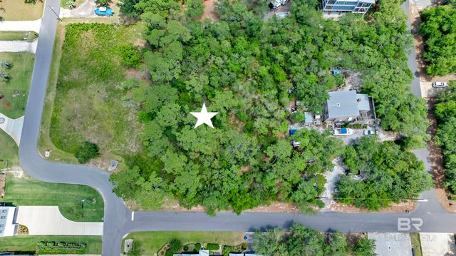 0 Virginia Street, Orange Beach, AL 36561