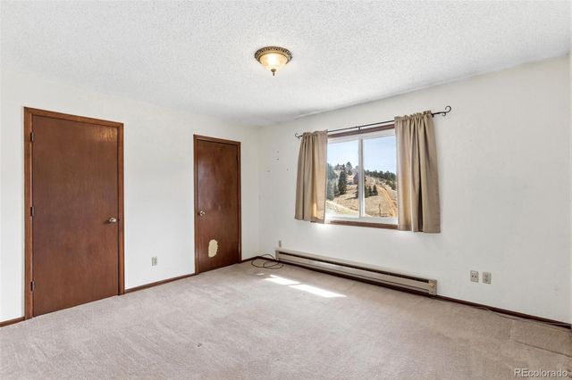 178 Cottonwood Lake Drive, Divide, CO 80814